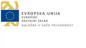 EU logo